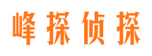 卢湾调查公司